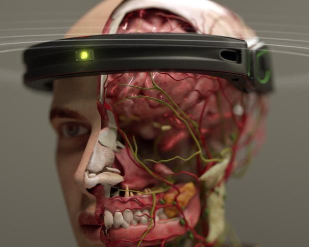 Стартап BrainBridge организует пересадку голов ИИ-роботами в течение 10 лет
